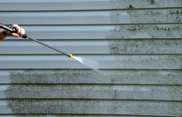 Local Pressure Washing Services in Vandalia, IL